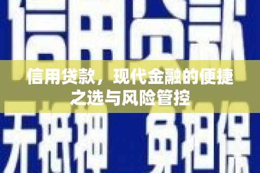 威海信用贷款，现代金融的便捷之选与风险管控