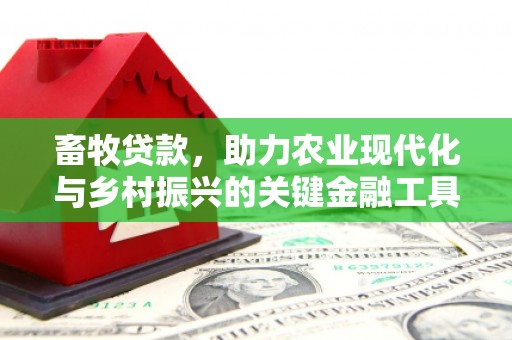嘉禾畜牧贷款，助力农业现代化与乡村振兴的关键金融工具