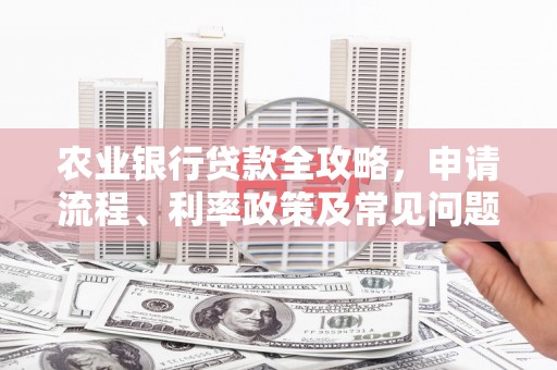 阜城农业银行贷款全攻略，申请流程、利率政策及常见问题解析