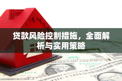 金溪贷款风险控制措施，全面解析与实用策略