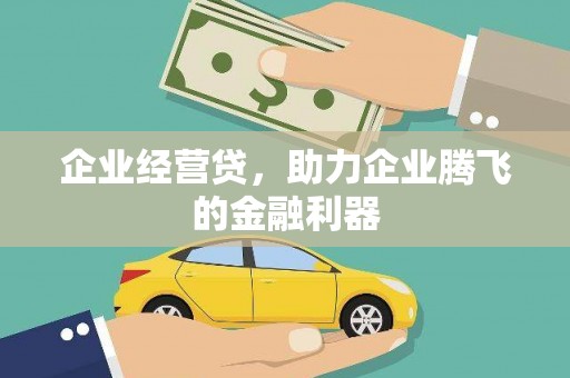 驻马店企业经营贷，助力企业腾飞的金融利器