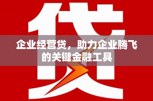 陆川企业经营贷，助力企业腾飞的关键金融工具