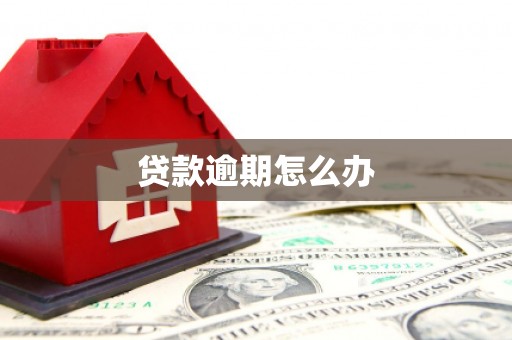 抚远贷款逾期怎么办