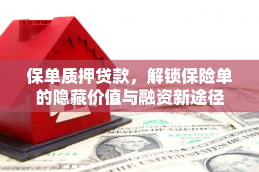 芦淞保单质押贷款，解锁保险单的隐藏价值与融资新途径