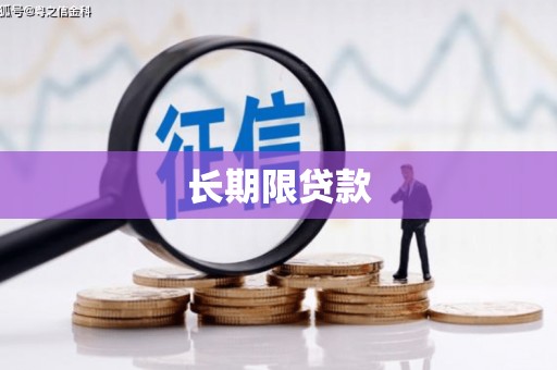 宣威长期限贷款