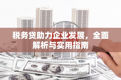 阿巴嘎旗税务贷助力企业发展，全面解析与实用指南