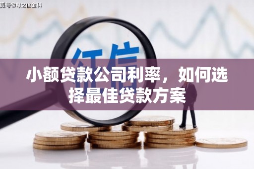 山海关小额贷款公司利率，如何选择最佳贷款方案