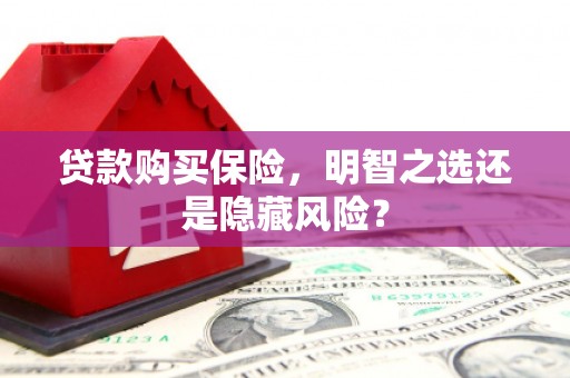 泉山贷款购买保险，明智之选还是隐藏风险？