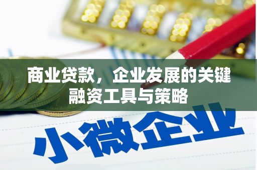 天津商业贷款，企业发展的关键融资工具与策略