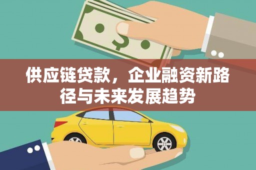 凉城供应链贷款，企业融资新路径与未来发展趋势