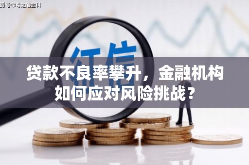 东西湖贷款不良率攀升，金融机构如何应对风险挑战？