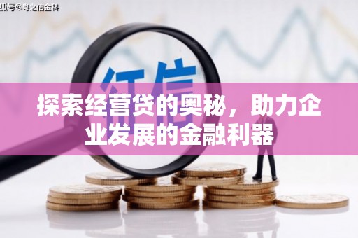 扶绥探索经营贷的奥秘，助力企业发展的金融利器