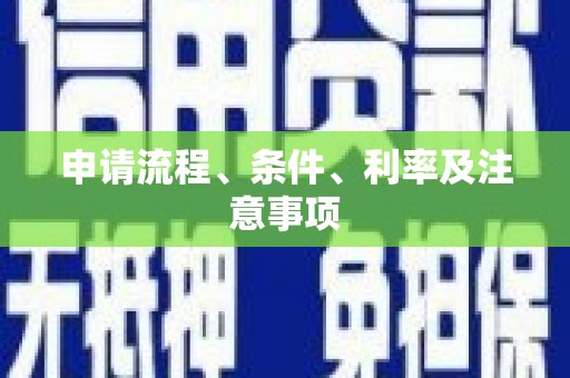瑞穗申请流程、条件、利率及注意事项