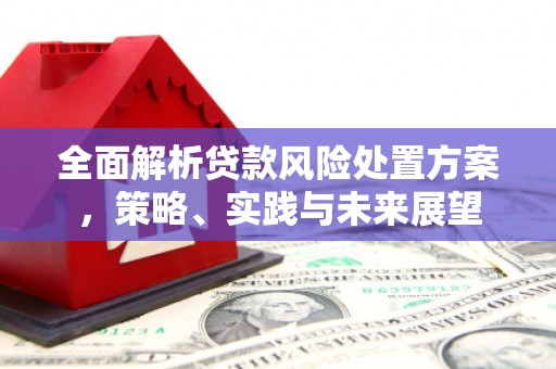 阜城全面解析贷款风险处置方案，策略、实践与未来展望