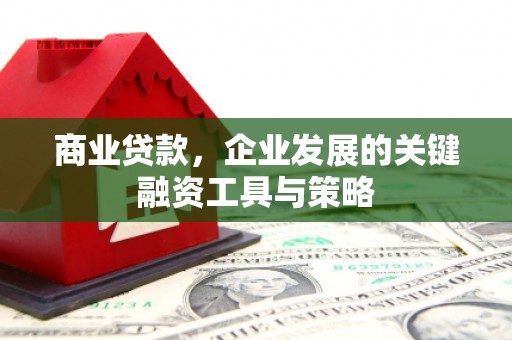 龙文商业贷款，企业发展的关键融资工具与策略
