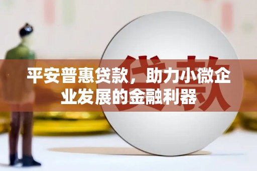 西林平安普惠贷款，助力小微企业发展的金融利器