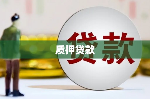 双柏质押贷款