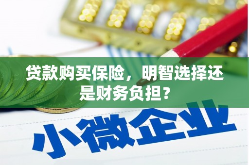 潍坊贷款购买保险，明智选择还是财务负担？