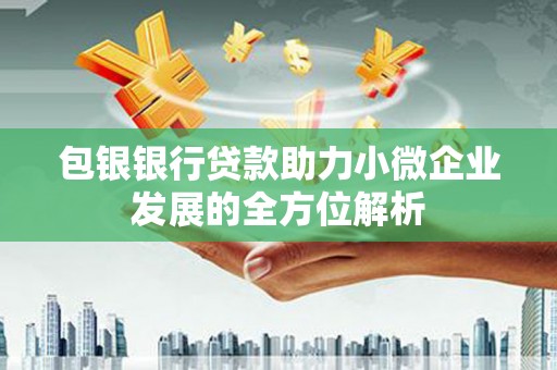 博湖包银银行贷款助力小微企业发展的全方位解析 博湖包银银行贷款助力小微企业发展的全方位解析