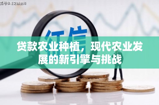 西华贷款农业种植，现代农业发展的新引擎与挑战