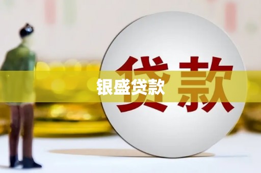 会理银盛贷款