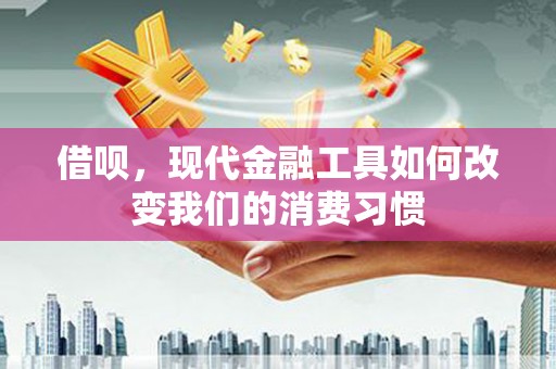 陆川借呗，现代金融工具如何改变我们的消费习惯