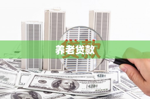 叶县养老贷款