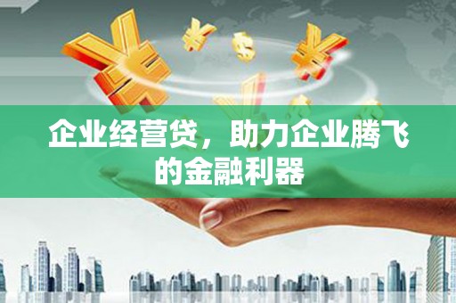湖里企业经营贷，助力企业腾飞的金融利器