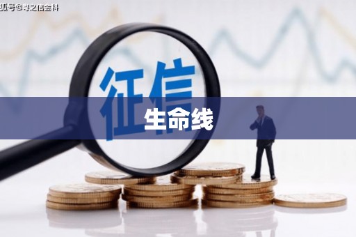 桃江生命线