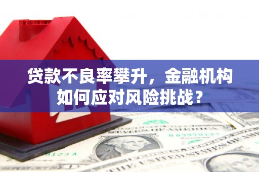 水富贷款不良率攀升，金融机构如何应对风险挑战？