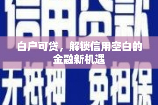 正蓝旗白户可贷，解锁信用空白的金融新机遇