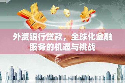 凤泉外资银行贷款，全球化金融服务的机遇与挑战