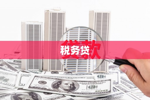 顺庆税务贷