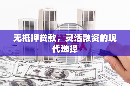 林甸无抵押贷款，灵活融资的现代选择