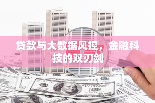 解放贷款与大数据风控，金融科技的双刃剑
