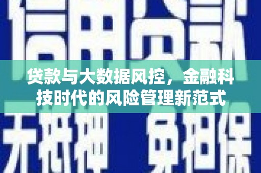 盐池贷款与大数据风控，金融科技时代的风险管理新范式