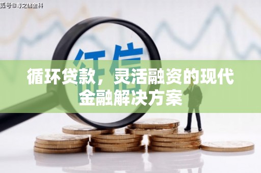 长兴循环贷款，灵活融资的现代金融解决方案