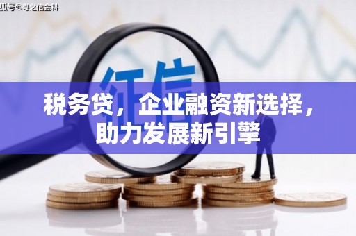 芗城税务贷，企业融资新选择，助力发展新引擎