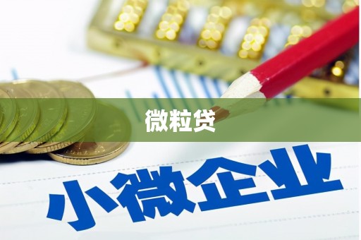泰州微粒贷