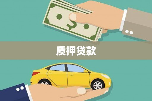 双清质押贷款