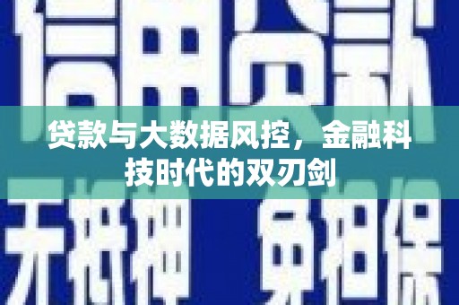 舞阳贷款与大数据风控，金融科技时代的双刃剑