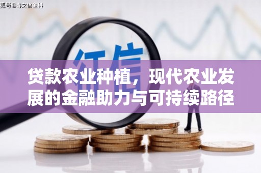 甘泉贷款农业种植，现代农业发展的金融助力与可持续路径