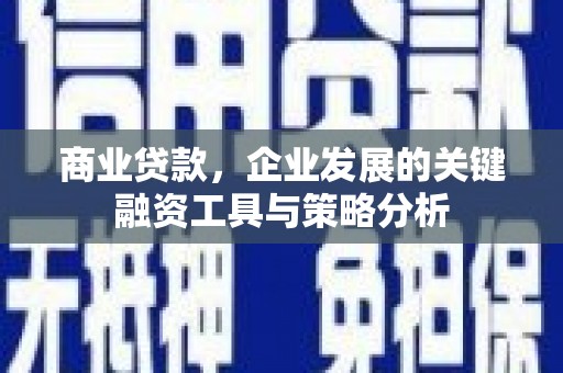 洋县商业贷款，企业发展的关键融资工具与策略分析