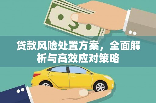 玛曲贷款风险处置方案，全面解析与高效应对策略