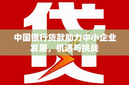 宁明中国银行贷款助力中小企业发展，机遇与挑战