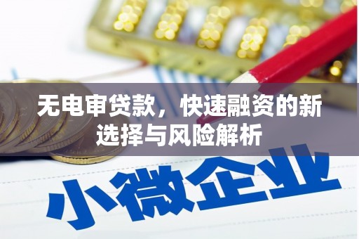 埔里无电审贷款，快速融资的新选择与风险解析