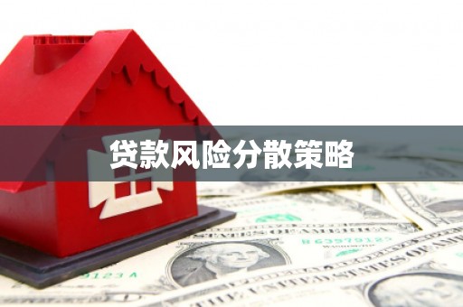 尚义贷款风险分散策略