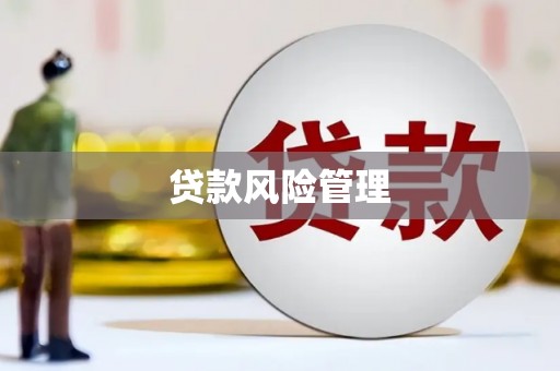 长顺贷款风险管理