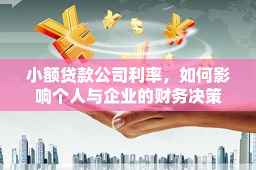 沈丘小额贷款公司利率，如何影响个人与企业的财务决策