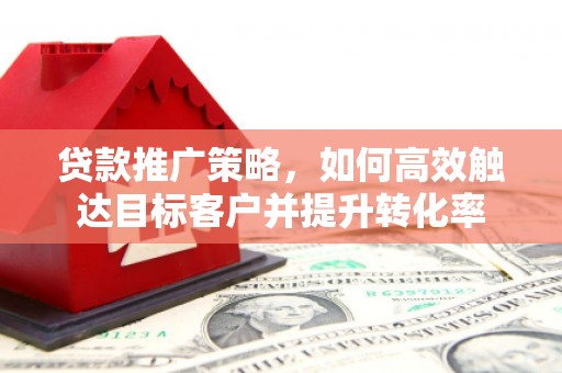 新罗贷款推广策略，如何高效触达目标客户并提升转化率
